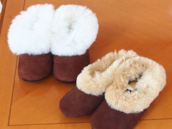 Fell-Pantoffeln – Bild 5