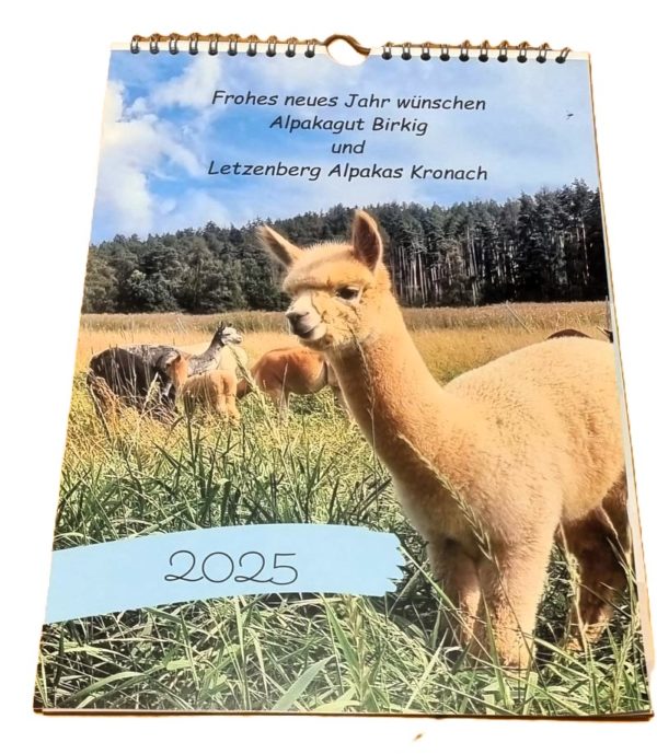 Kalender 2025